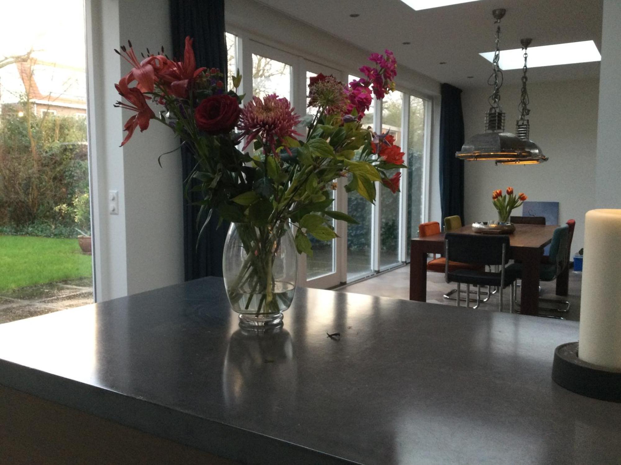 Villa Cosy Central Incl Jacuzzi Near Trainstation, Beach And City Heemstede Exterior foto